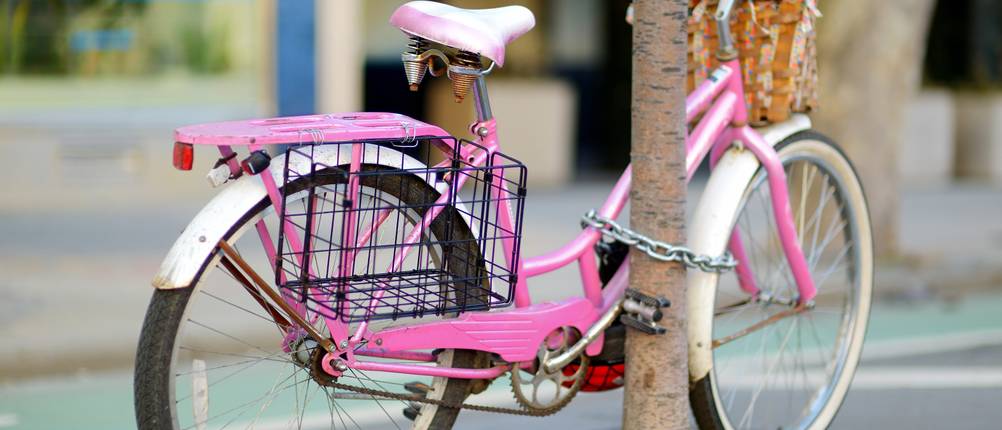 Mini-Fahrradschloss-Test