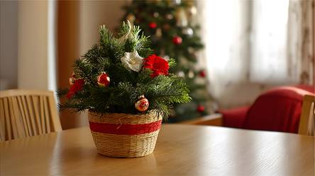 blumenkasten holzoptik Balkonkasten aus Holz 60cm  Green Me Up