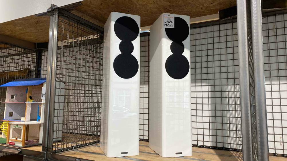 Im Test: Zwei Standlautsprecher von vorne in einem Regal stehend.