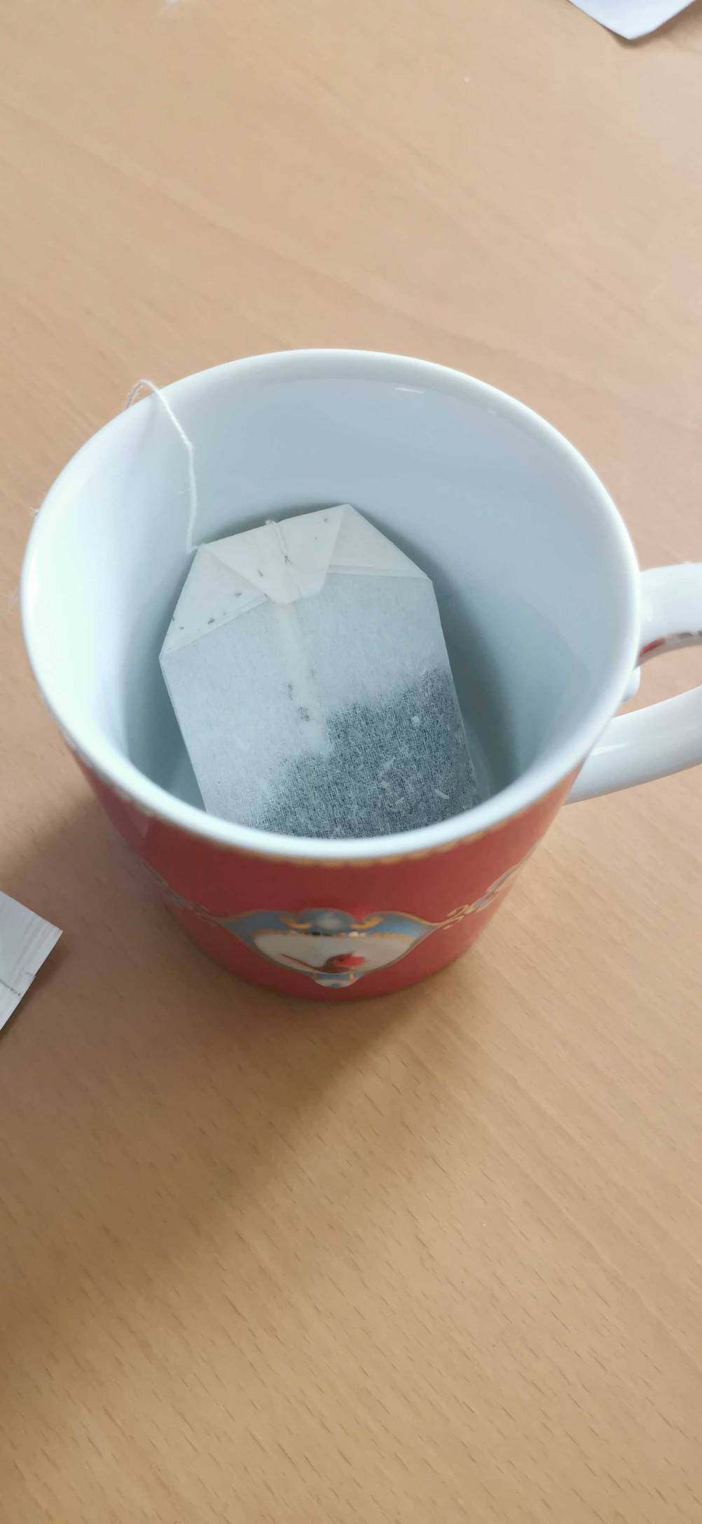 Im Test: In einer Tasse befindet sich ein Beutel Brennnesseltee.