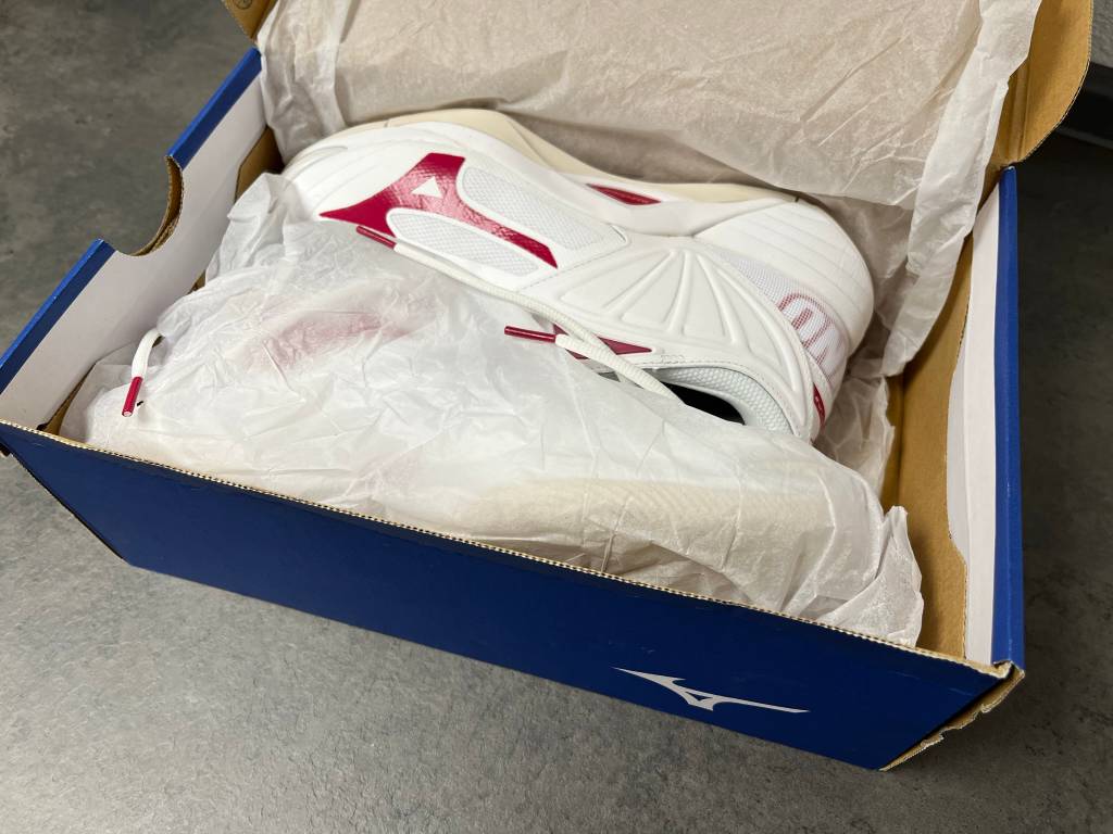 Damen-Volleyballschuhe Wave Momentum 2 der Marke Mizuno.