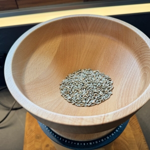 Ungemahlenes Getreide in der Mockmill Lino 100