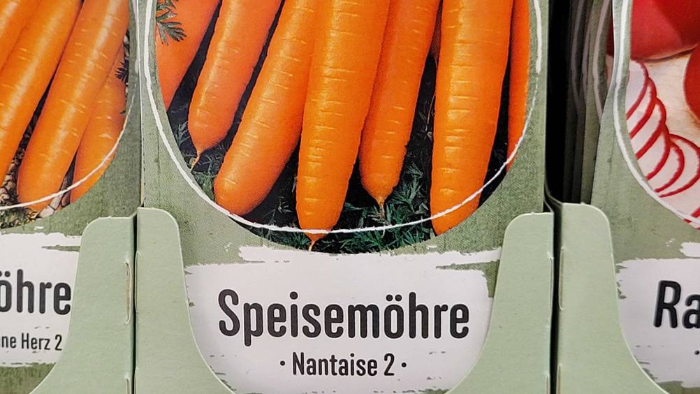 Möhren-Samen-Test: Nahaufnahme der Verpackung in einem Karton mit Artikelbezeichnung.