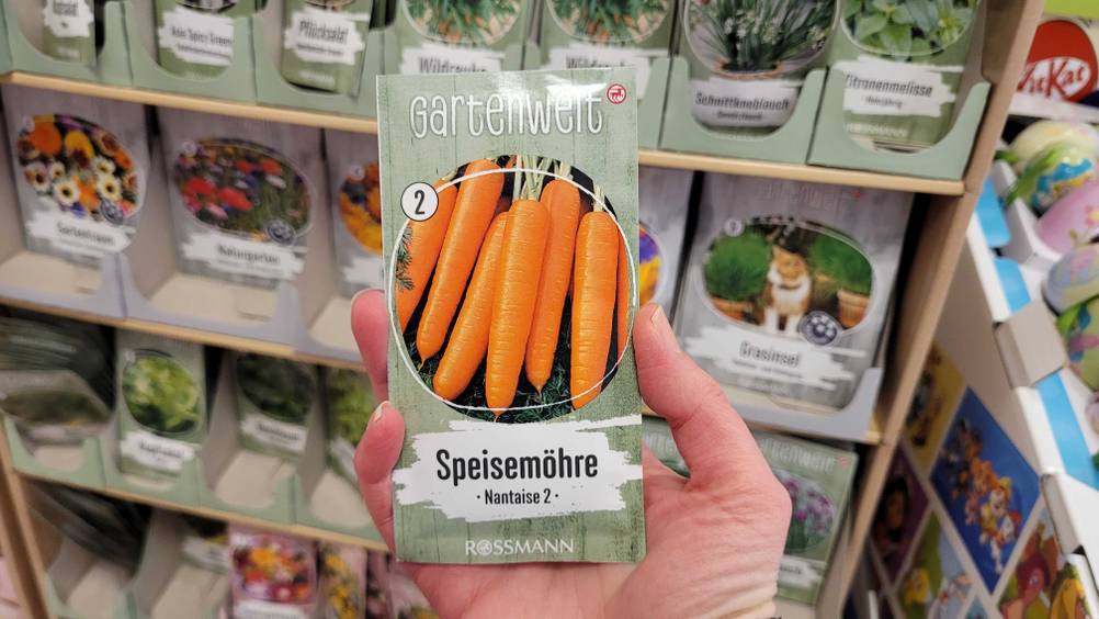 Eine Hand hält die getesteten Möhren-Samen vor ein Verkaufsregal.