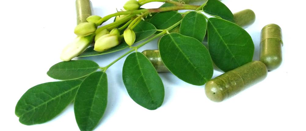 Moringa-Kapseln-Test