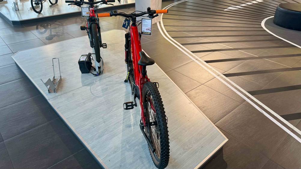 Das getestete Mountainbike 26 Zoll von hinten auf einer Plattform stehend.