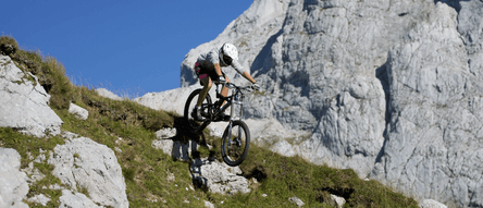 Mountainbike Downhill Alps