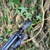 Die Reetee Fahrradgriffe sind an einem Mountainbike montiert, das neben einem Baum mit Efeu steht.