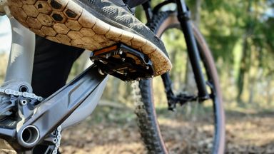 MTB-Pedale Test 2026  Grip und Kontrolle im Gelnde