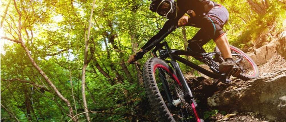 mtb-reifen 26 zoll test