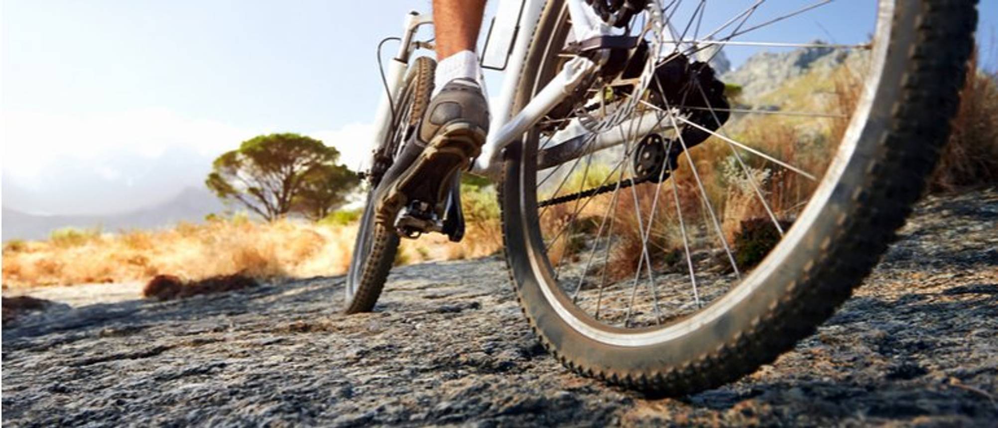 Neues Canyon Exceed im Test MTBHardtail mit GravelSkills