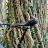 Ein Ergon SMC Core MTB-Sattel ist an einem Mountainbike montiert, das vor einem Baum im Wald steht. Die geschwungene Form des Sattels ist gut erkennbar.