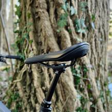 Ein Ergon SMC Core MTB-Sattel ist an einem Mountainbike montiert, das vor einem Baum im Wald steht. Die geschwungene Form des Sattels ist gut erkennbar.