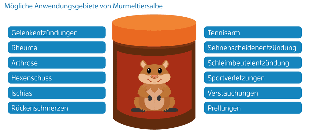 murmeltiersalbe-anwendung