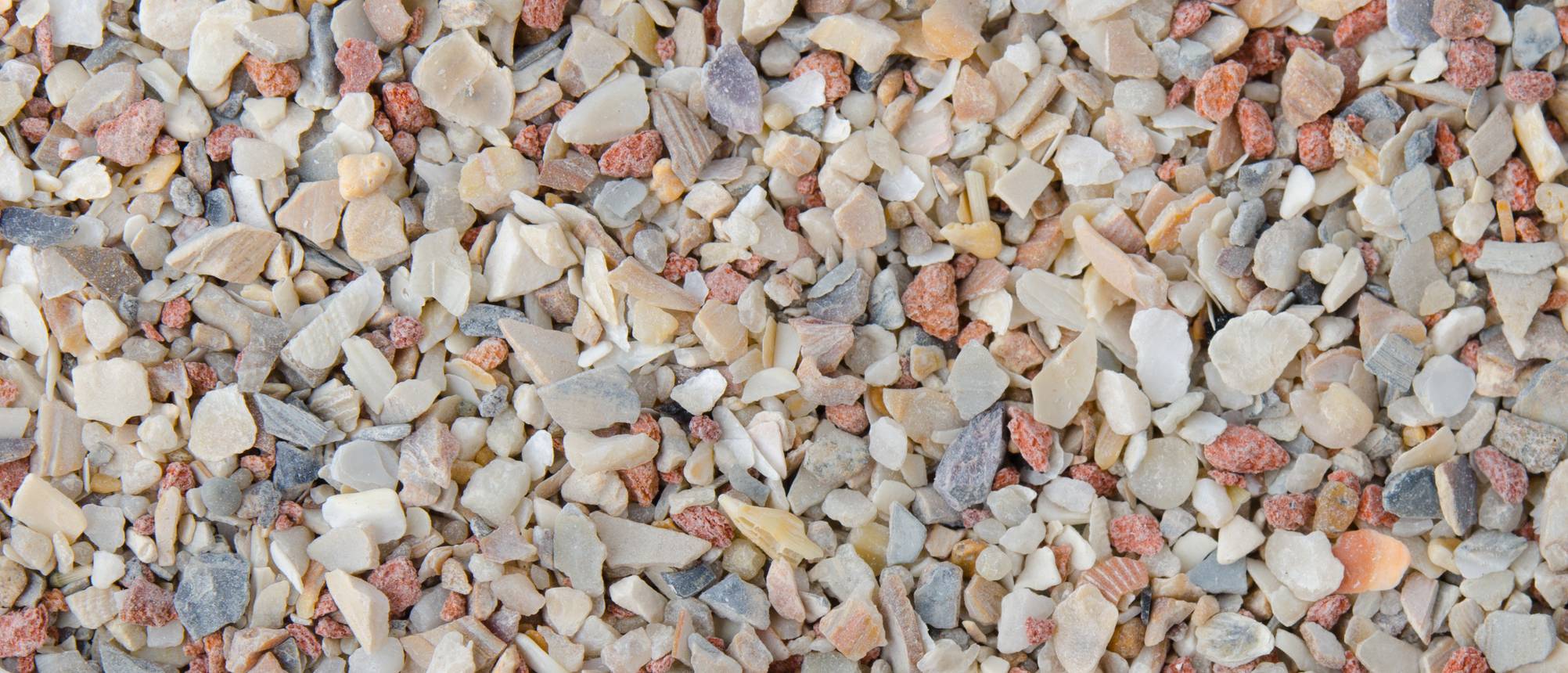 Muschelgrit Test & Vergleich » Top 12 im Mai 2025