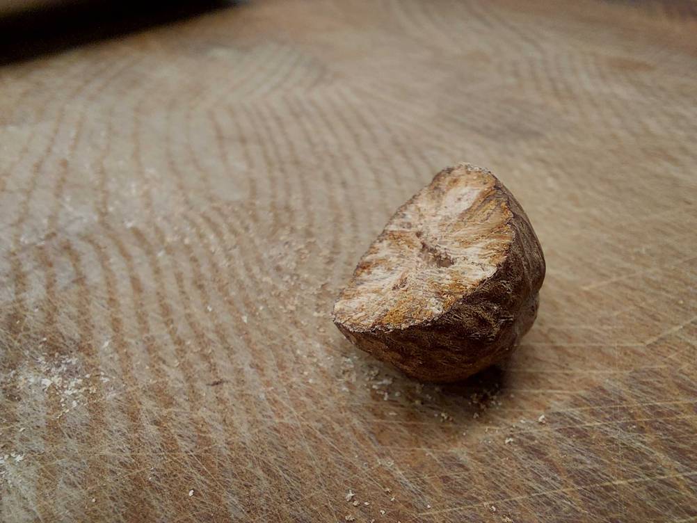 Muskatnuss getestet: Eine halbe Nuss von der Seite auf einer Holzfläche.