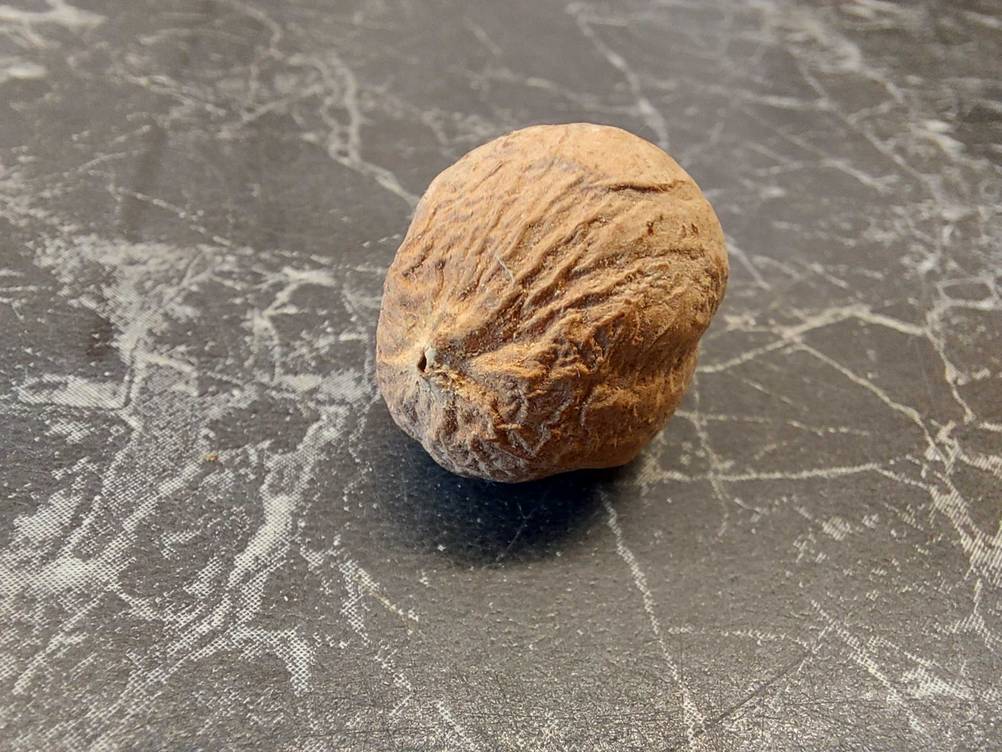 Nahaufnahme einer getesteten Muskatnuss auf einer grauen Fläche.