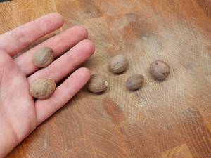 Handvoll Muskatnüsse auf Holzplatte
