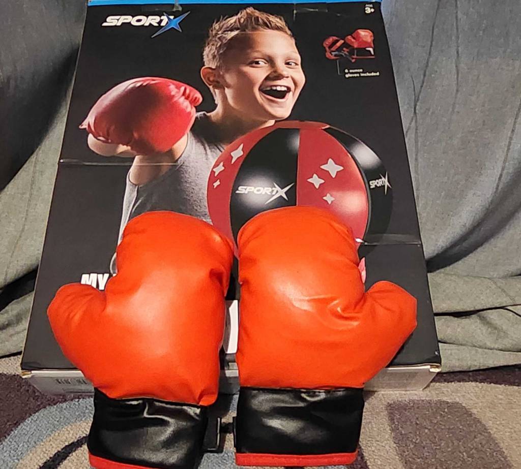 Zwei rote Boxhandschuhe liegen vor der Verpackung eines Kinder-Boxsacks im Test.