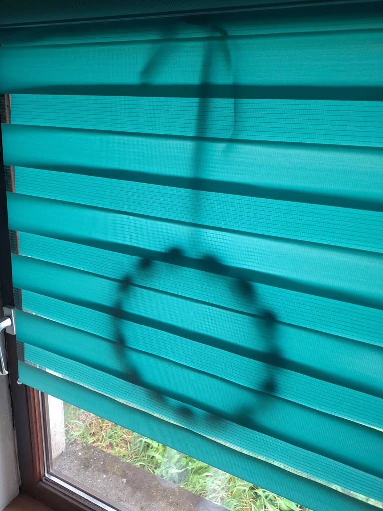 Das grüne Verdunkelungsrollo im Test hängt Schatten spendend vor einem Fenster.