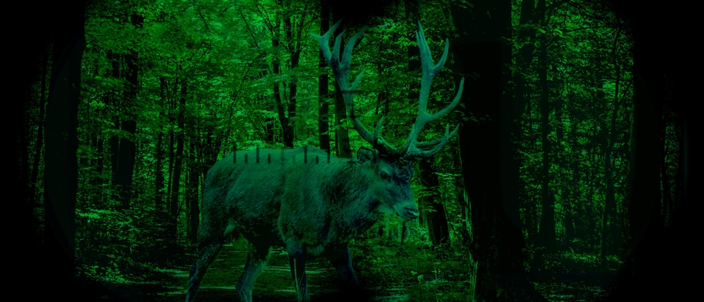 Ein Hirsch wird durch ein Nachtsichtgerät beobachtet.