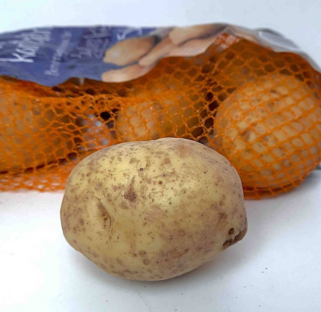 Kartoffeln im Test: Eine Kartoffel liegt vor einem Netz mit weiteren Kartoffeln.