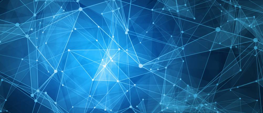 netz network verteiler switch