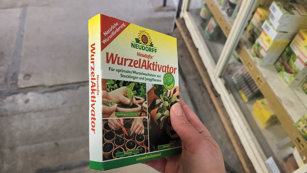 Eine Hand hält eine Packung Bewurzelungspulver zum testen.