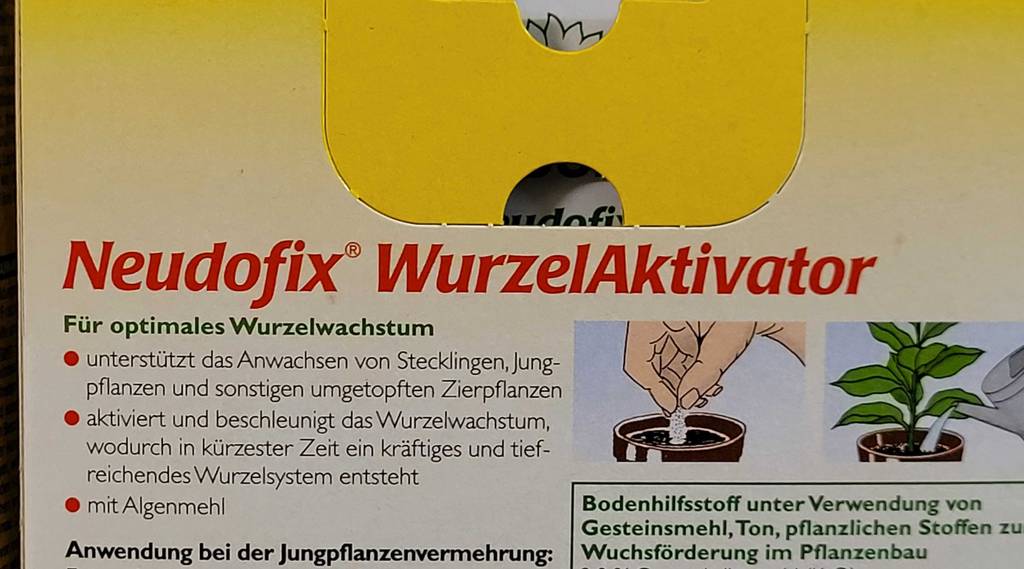 Bewurzelungspulver-Test: Bebilderte Informationen zur Anwendung.
