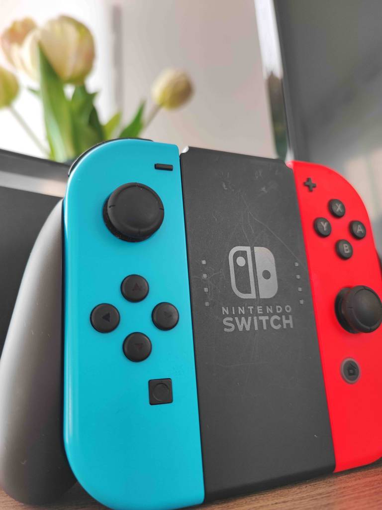 Nintendo Joy-con 2-in-1