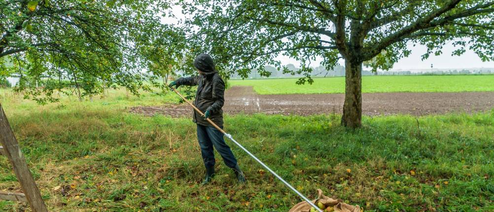 obstpflücker-test-werkzeug
