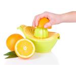 shutterstock_obstpresse-zitruspresse-170798075-africa-studio