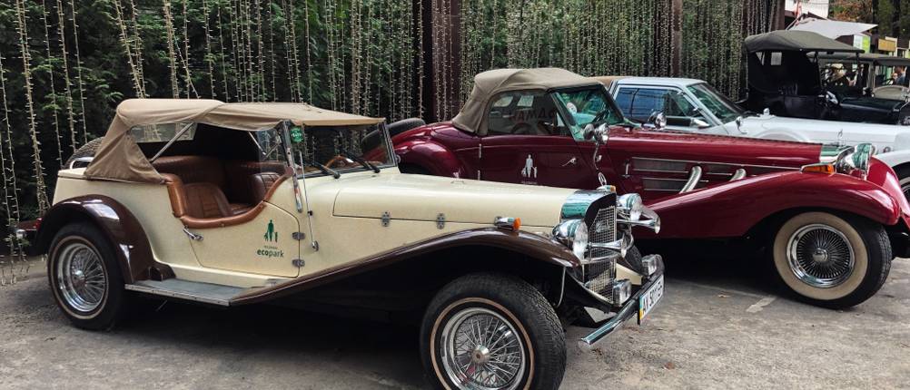 Mehrere restaurierte Oldtimer auf einer Oldtimer-Ausstellung nebeneinander