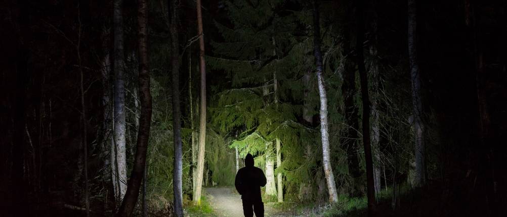 Olight-Taschenlampe-Test: Ein Mann steht mit einer Taschenlampe im Wald. 