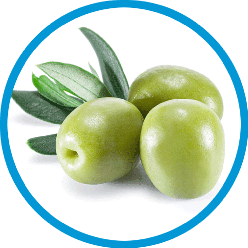 olivenöl