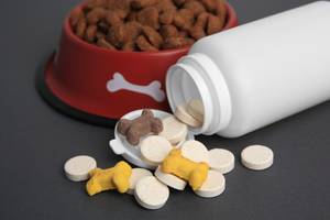 Online-Apotheken im Test: Neben einem Futternapf liegt eine Dose mit mehreren Tabletten.