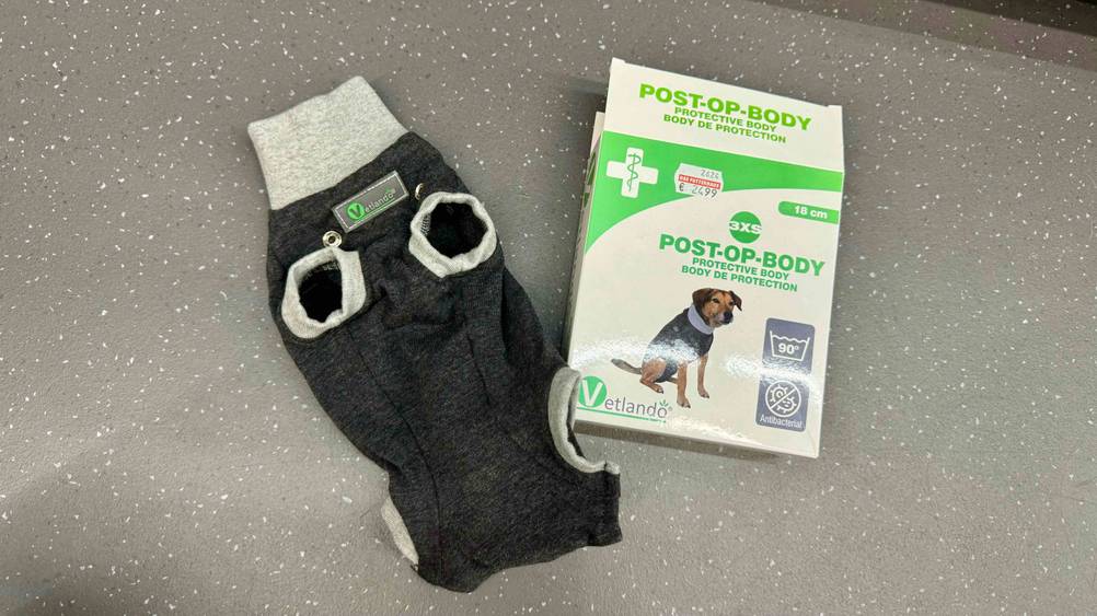 Ein getesteter OP-Body Hund neben seiner Verpackung auf einem grauen Boden.