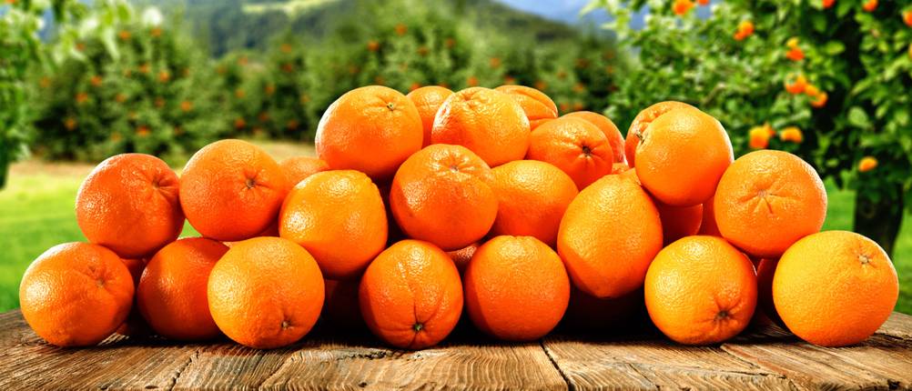 Orangen-Reiniger