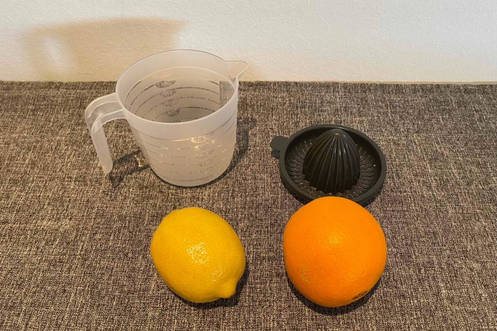 Orangenpresse-Zitruspresse im Test: Die Früchte befinden sich vor dem Behälter und dem Aufsatz der Zitronenpresse. 