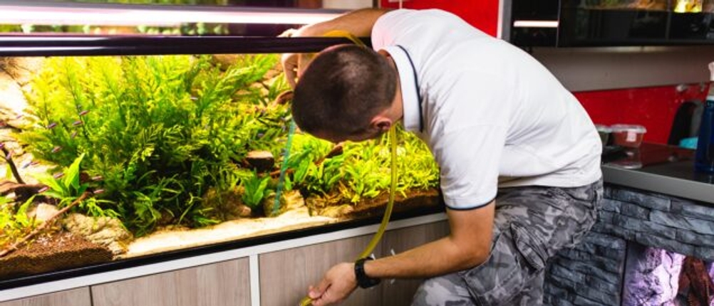 Ein Mann führt einen Wasserwechsel am Aquarium durch
