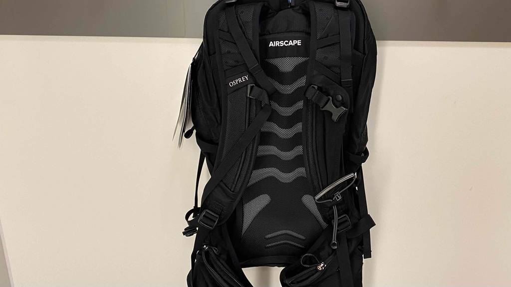 Osprey-Rucksack getestet: Ein Rucksack von hinten mit Rückenpolsterung und Gurten.
