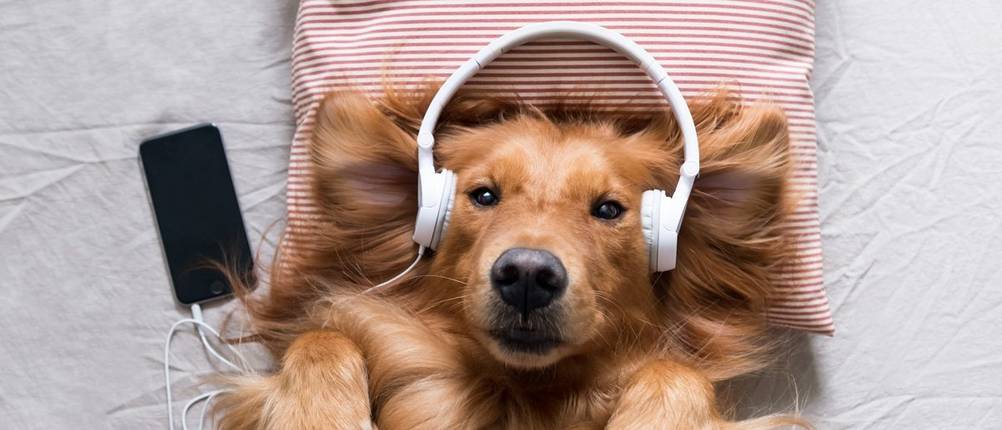 over-ear