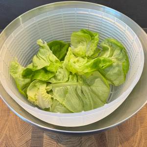 Gewaschener Salat in der OXO 1071497