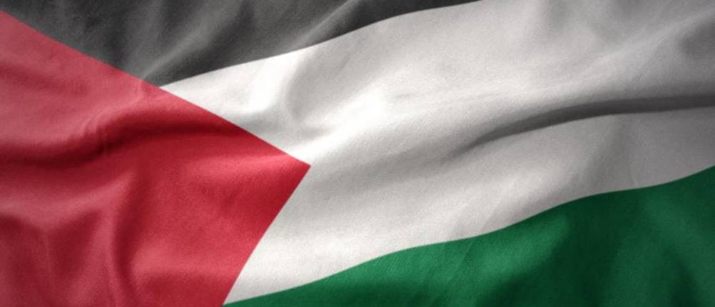 palästina-flagge-test