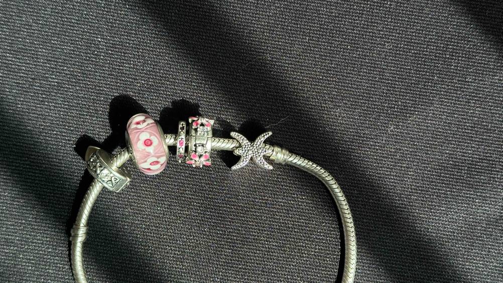 Pandora-Armband im Test: Nahaufnahme der einzelnen Charms des Armbandes.