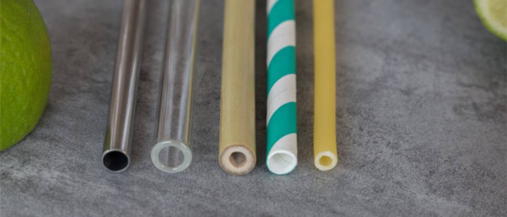 Papierstrohhalme-Test: Jeweils ein Strohhalm aus Papier, Metall, Bambus, Glas und Silikon. 