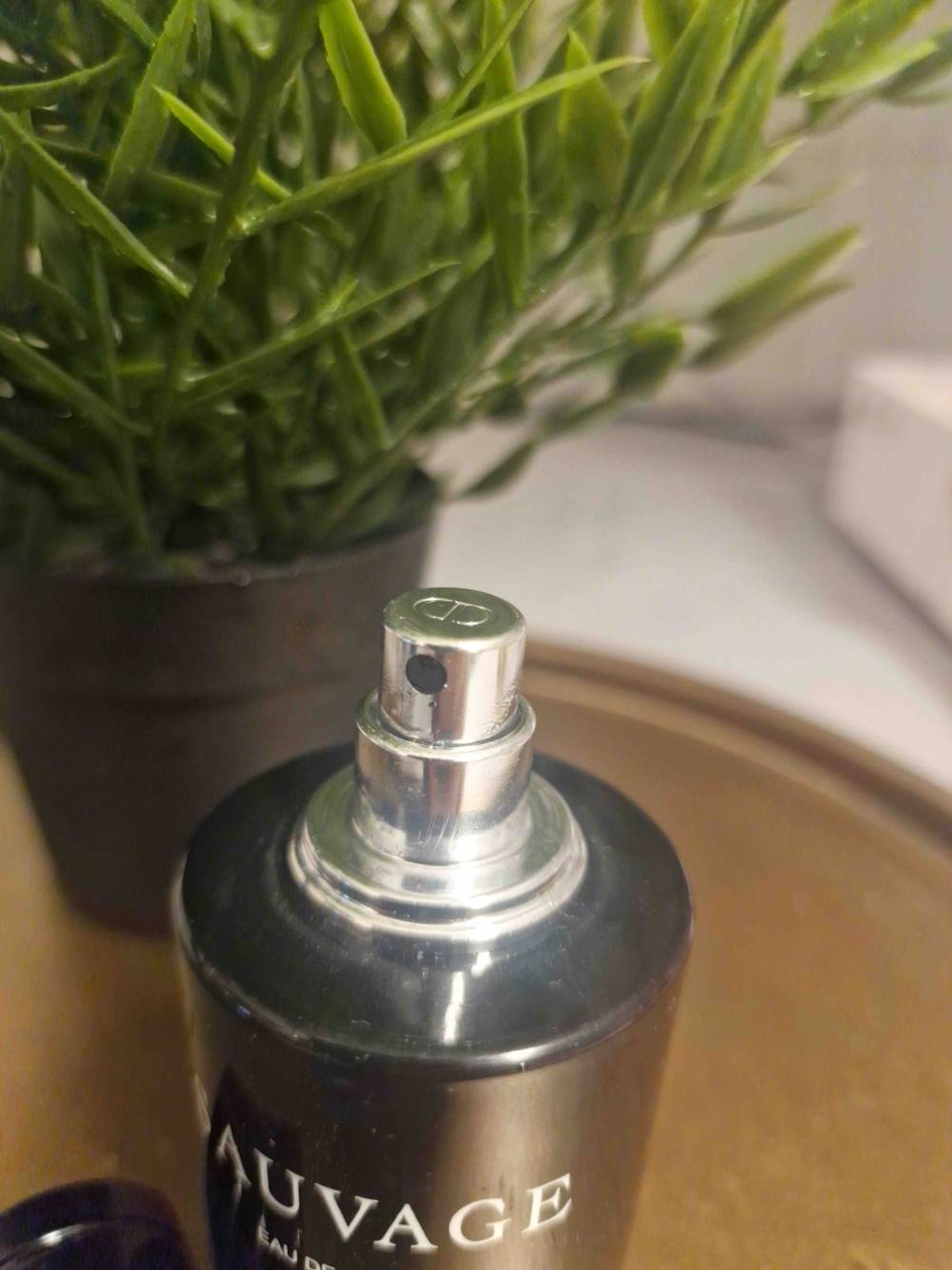 Nahaufnahme des Sprühkopfes eines getesteten Parfum für Herren vor einer Pflanze.