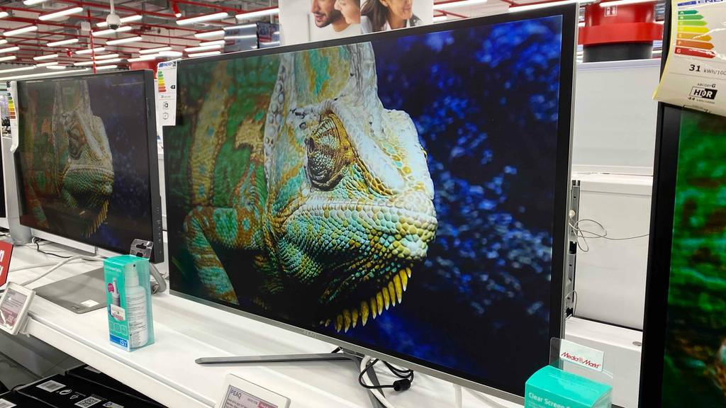 Chamäleon wird auf einem Peaq 32-Zoll-Monitor im Test gezeigt.