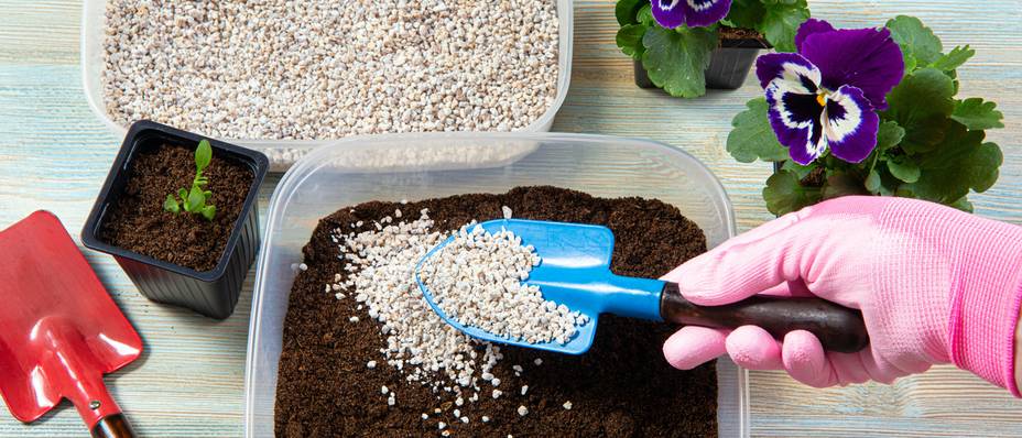 Perlite Pflanzen Test & Vergleich » Top 13 im Mai 2025