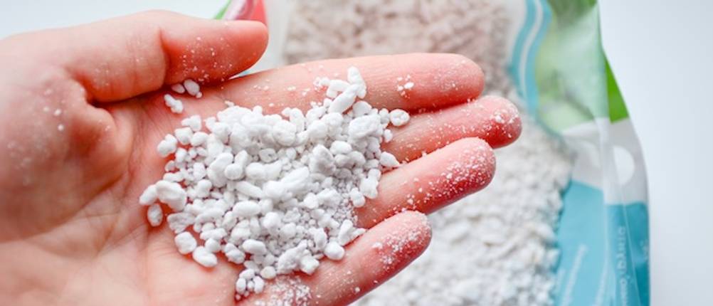 Getestete Pflanzen-Perlite in einer Hand in Nahaufnahme.